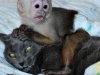 jack-and-benji-10-06-10-debd9a16cca4857a1294f138dacb18b0c1a67088