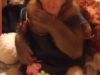 Rhesus macaque