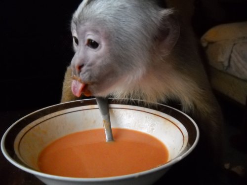 benjieatssoup