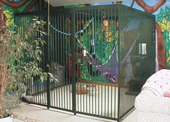 Indoor Monkey Enclosure Indoor Primate Cage