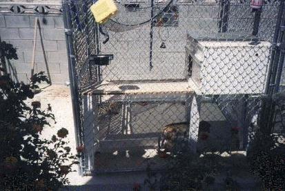Primate Cage Primate Cage