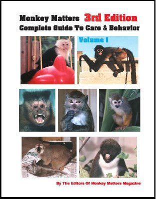 Monkey Matters Guide - Part 1