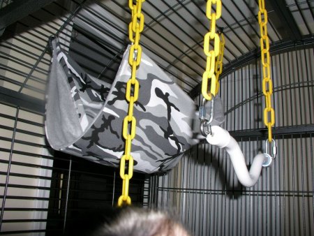 primateswing Monkey Swing