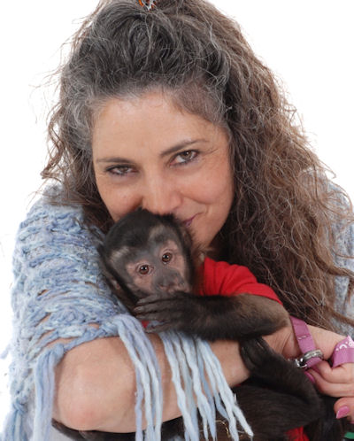 Monkey Stolen