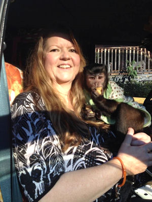 capuchin in vehicle