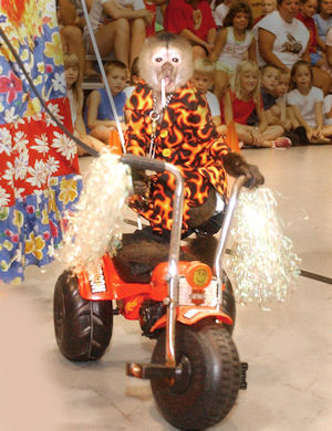 monkey riding bike