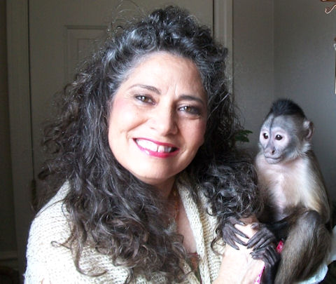 rehomed capuchin