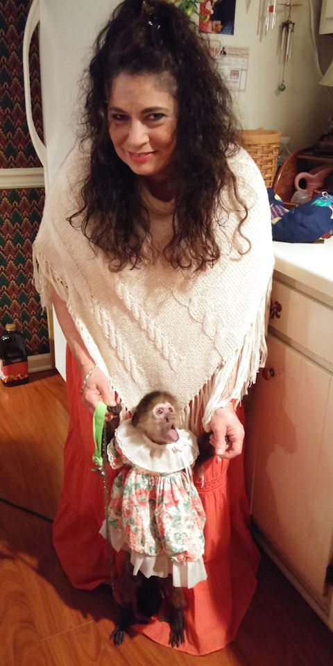 aging monkey