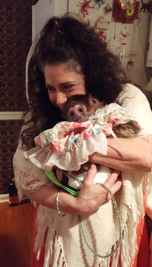 older monkey hugs