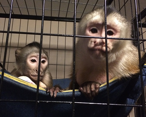 cooper and benji chilling