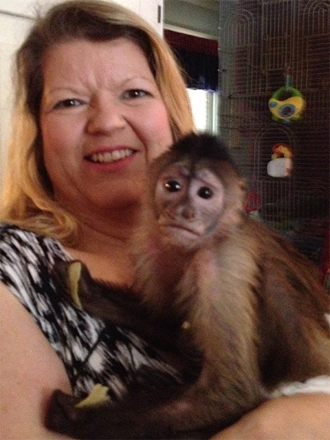 lisa and sophie capuchin