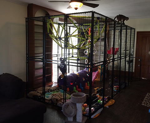 monkey enclosure