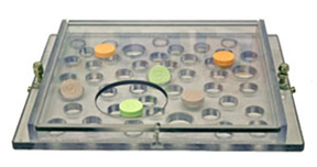 primate enrichment finger board