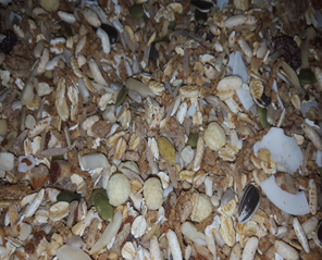 primate foraging mix