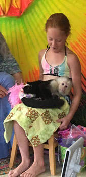 monkey training