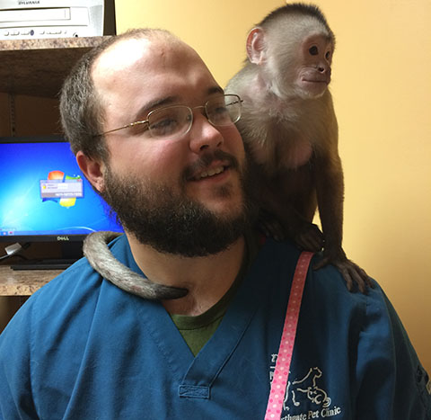 vet visit