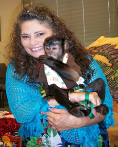 2 year old capuchin