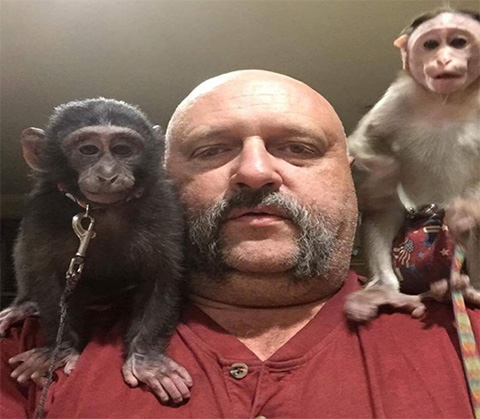 dog collar for monkeys