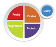 human diet
