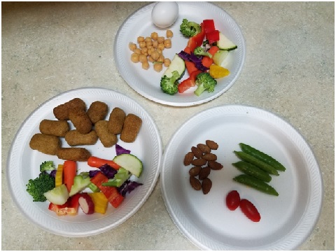 primate food and snack