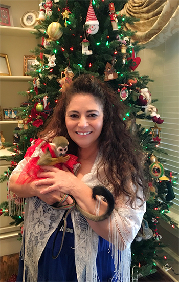 christmas squirrel monkey