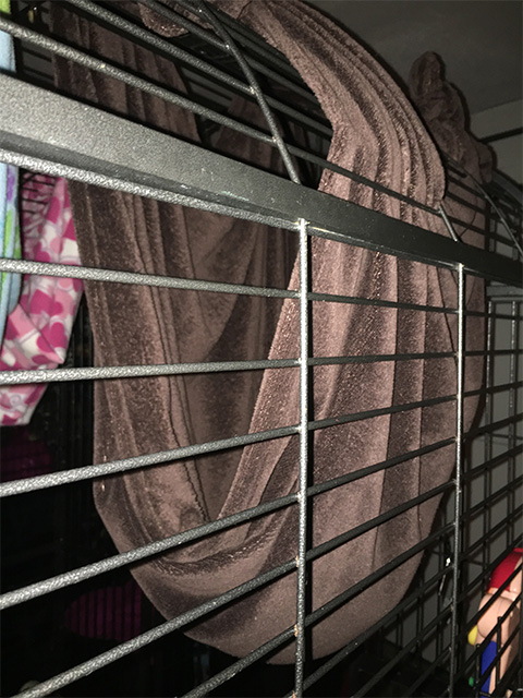 monkey blanket hammock
