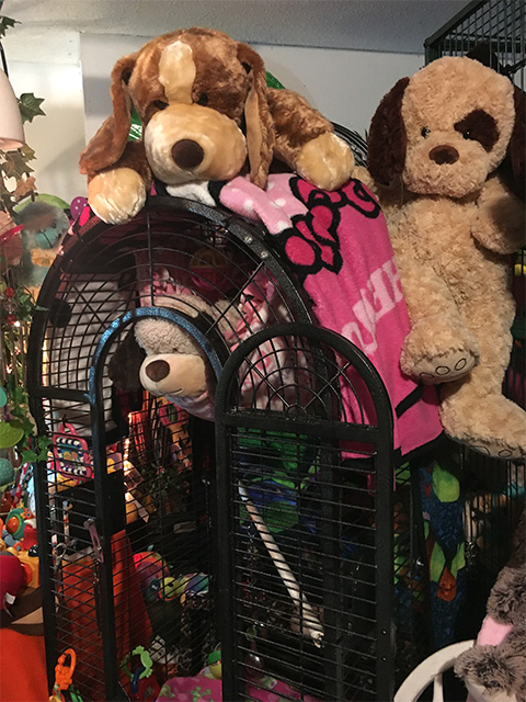 monkey stuffies