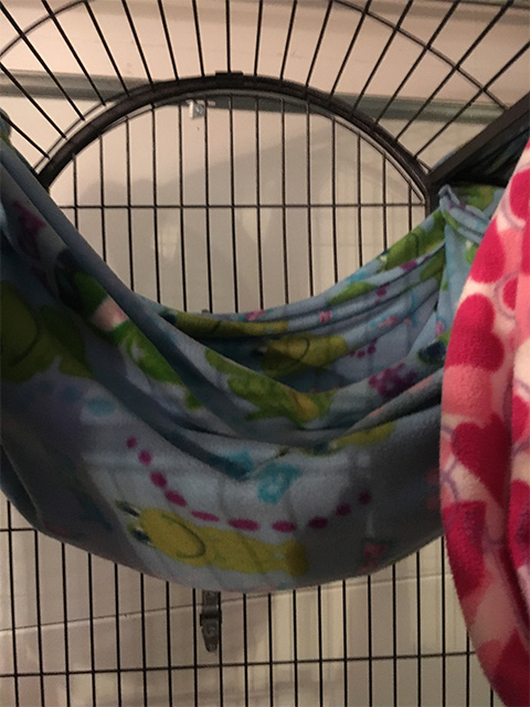 primate blanket hammock