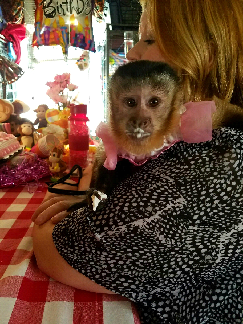 monkey birthday party