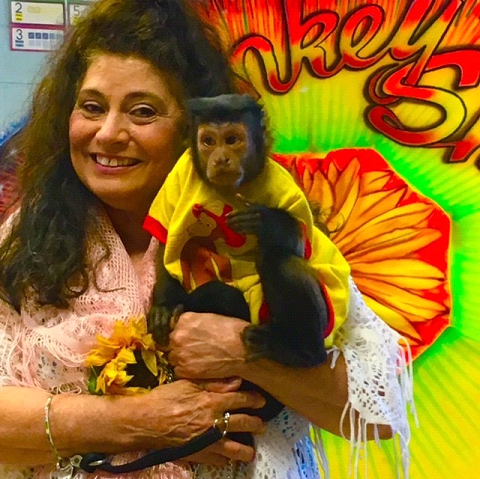traveling monkeys
