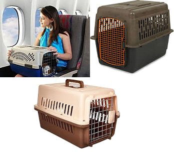 traveling with monkeys