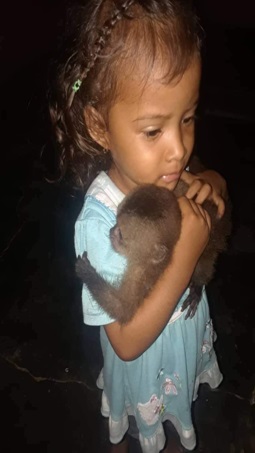 baby capuchin with young child